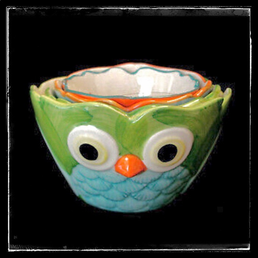 PiER 1 • Hand Painted Nesting Owl Measuring Cups